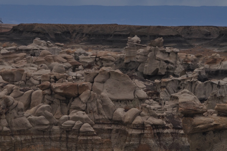 bisti wilderness